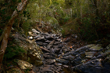 Uruguay, Ravens canyon forest