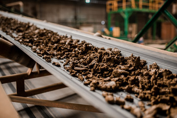 Plant for the production of bricks from clay. Plant for production building material with ready brick, construction industrial. Production of bricks on plant. Workflow, close-up. Many bricks