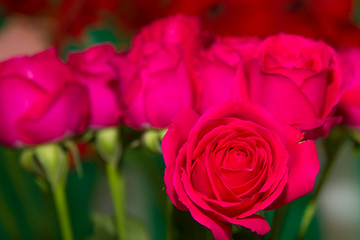 rosa, buquê, flor, vermelho, amor, aglomerado estelar, natureza, cor-de-rosa, isolado, floral, bela, beldade, valentine, branco, laranja, boda, presente, romance, planta, amarelo, verde