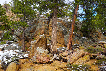 Obraz premium The colorful trees and rocks that create a beautiful late autumn landscape in the Rocky Mountain National Park