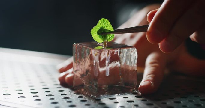 Close up of bartender is putting a mint with a tweezers in professional crystal ice cube for preparation an alcoholic cocktail to customers at the bar or disco club.