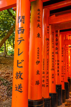 Kyoto, Japan - April 28, 2017: Japanese kanji letters in red columns in a row. Details of Torii gates in Fushimi Inari taisha. Fushimi Inari is the most important shinto sanctuary. Vertical shot.