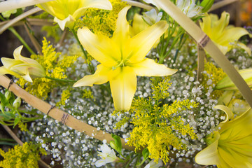 flor, flor, natureza, ajardinar, laranja, amarelo, buquê, vermelho, planta, verde, primavera,...