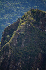Fototapeta na wymiar sistema de cultivo del pueblo inca ruinas Huayna Picchu