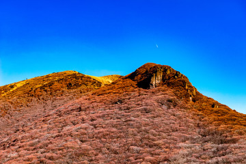 Fototapeta premium 星生山