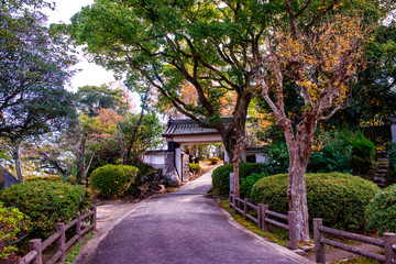 城山公園の紅葉