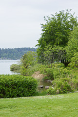 tree lined shore of lake washington in early fall during midday