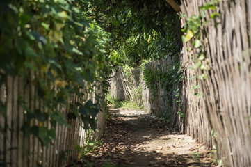 Obraz premium Footpath and old wooden fence in country side in Thailand