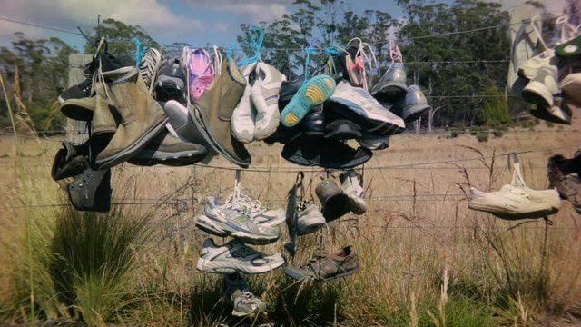 Sneakers hanging on a fence by the road