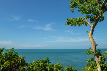 Fototapeta na wymiar Tropical beautiful seascape view of green trees with blue sea in background.