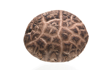 Shiitake mushrooms isolated on the white background.