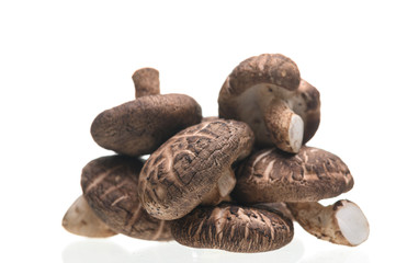 Fototapeta na wymiar Shiitake mushrooms isolated on the white background.