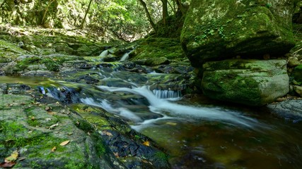 赤目四十八滝　初夏の渓流の情景＠三重県