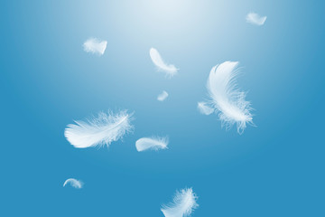 Soft white feathers floating in the air, on a blue background