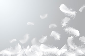 Soft white feathers falling down in the air
