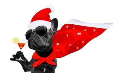 christmas santa claus dog