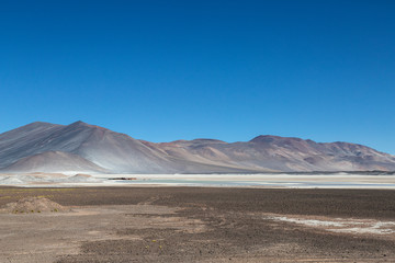 Fototapeta na wymiar Landscapes of the Atacama Desert, Chile, salty lagoon