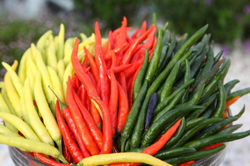 Chili Peppers in basket