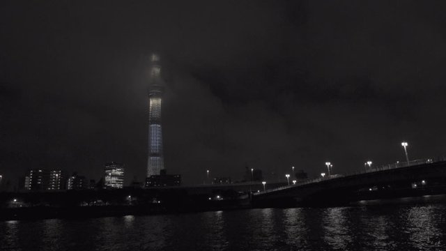 Tokyo at night in a misty storm wide