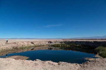 Fototapeta na wymiar Landscapes of the Atacama Desert, Chile, Ojos del Salar,