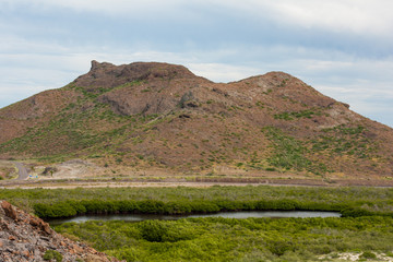 manglares de la costa de baja california sur, mexico.