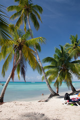 Obraz na płótnie Canvas Dominican Republic Caribbean Coastline tropical beach