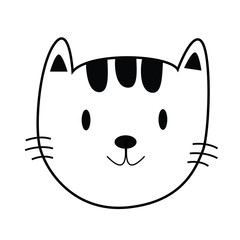 cat with a cute face