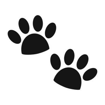 paw of cat or dog, paw of animal