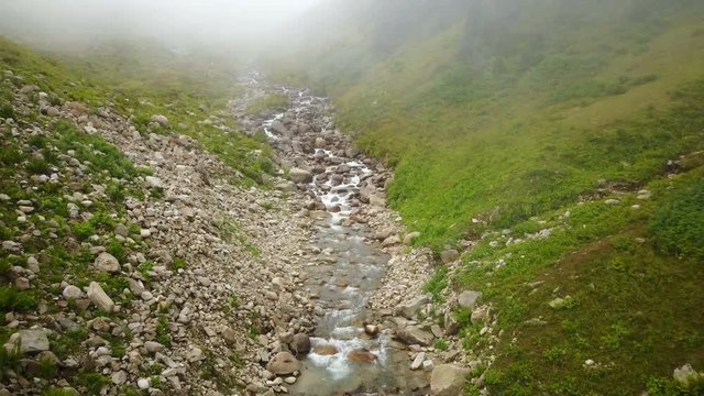 Clean stream flowing of green Ayder Plateau in Rize, Turkey