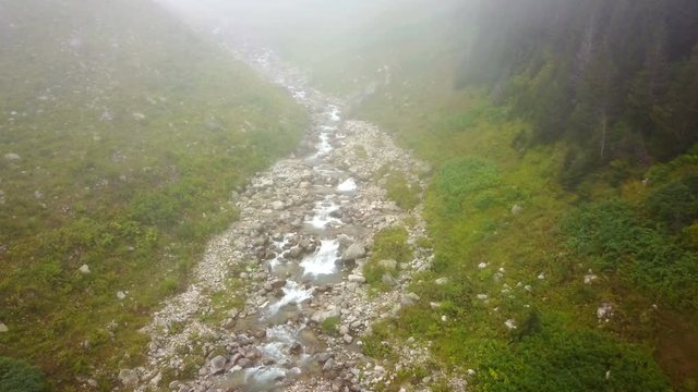 Clean stream flowing of green Ayder Plateau in Rize, Turkey