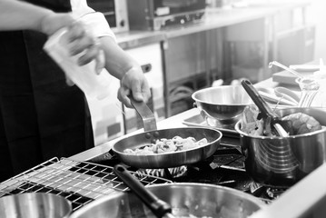 Chef preparing food in the kitchen, chef cooking, closeup
