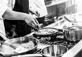 Chef preparing food in the kitchen, chef cooking, closeup