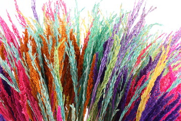 Colorful dried jasmine rice on white background