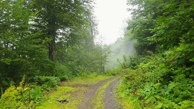 Foggy misty green mountain dirt road, beauty Kackar, Rize, Turkey