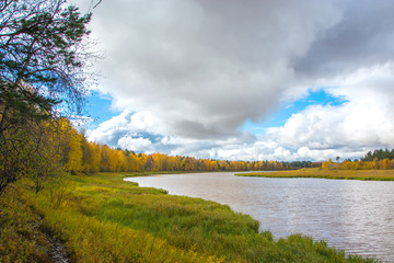 River in the autumn forest