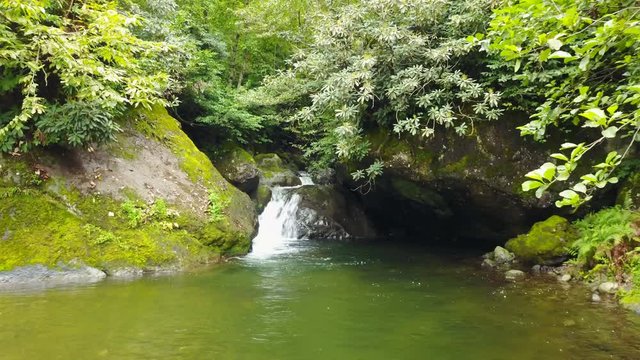 Natural Waterfall, Travel Destination, Macahel National Park, Borcka, Artvin, Turkey