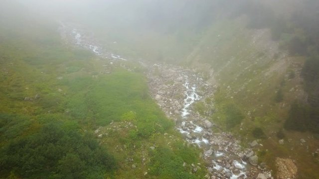 Clean stream flowing of green Ayder Plateau in Rize, Turkey