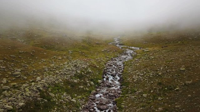 Clean stream flowing of green Ayder Plateau in Rize, Turkey