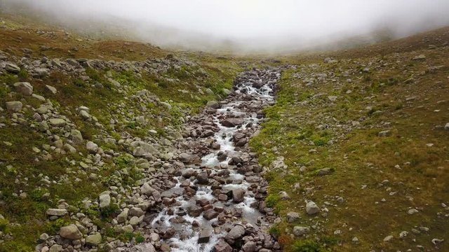 Clean stream flowing of green Ayder Plateau in Rize, Turkey