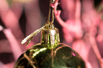Nahaufnahme von Weihnachtsbaum