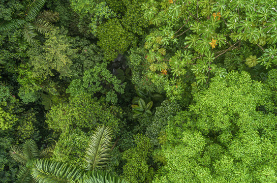 Lush mystical rainforest aerial drone view at La Fortuna Costa Rica jungle