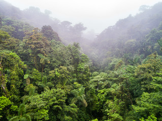 Lush mystical rainforest aerial drone view at La Fortuna Costa Rica jungle