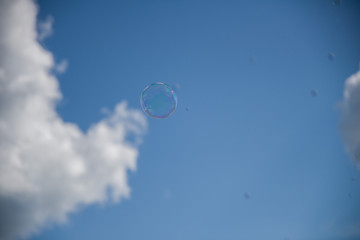 boy, child, kid, young, isolated, portrait, white, childhood, little, happy, cute, people, person, face, smile, one, school, children, fun, casual, boxing, sport, alone, youth, smiling