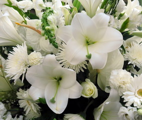 Fleurs blanches feuillage vert