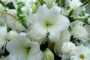 Fleurs blanches feuillage vert