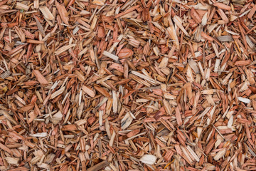 texture background of wet wood chips filled ground under the shade