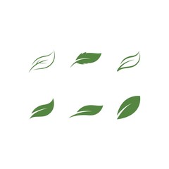 Green leaf logo