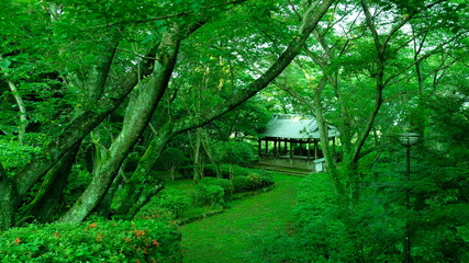 Obraz premium 寺