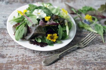 Salad with violets. Vegan Salad. Selective focus. Macro.