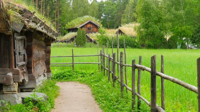 farm with beautiful norwagian village green grass rooftop, norway, 4k